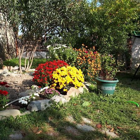 Old House Apartment With Garden Area มซเคทา ภายนอก รูปภาพ