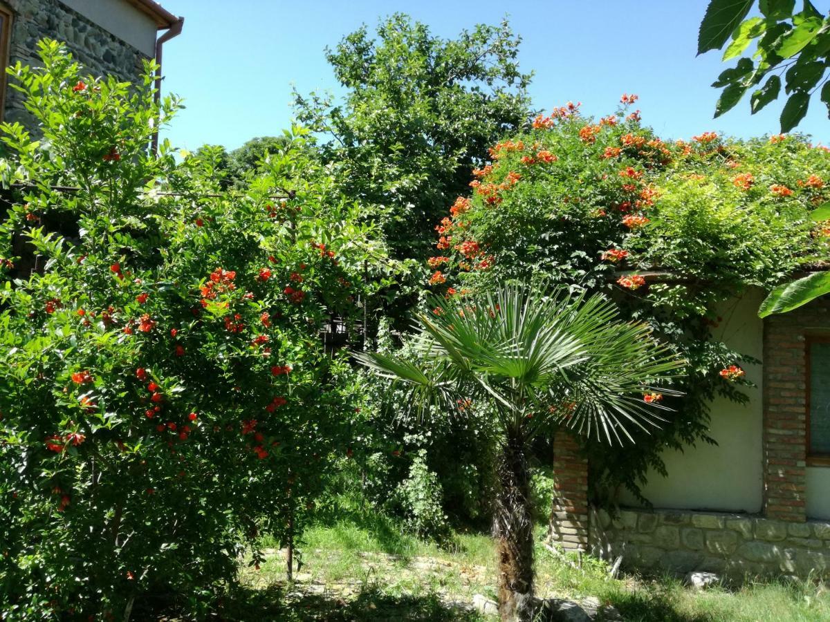 Old House Apartment With Garden Area มซเคทา ภายนอก รูปภาพ