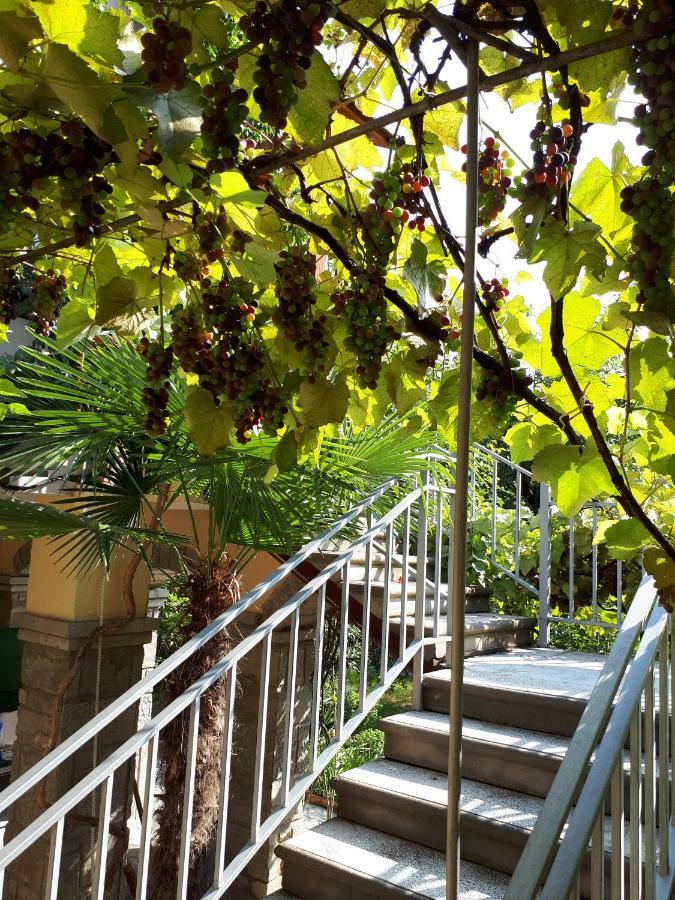 Old House Apartment With Garden Area มซเคทา ภายนอก รูปภาพ